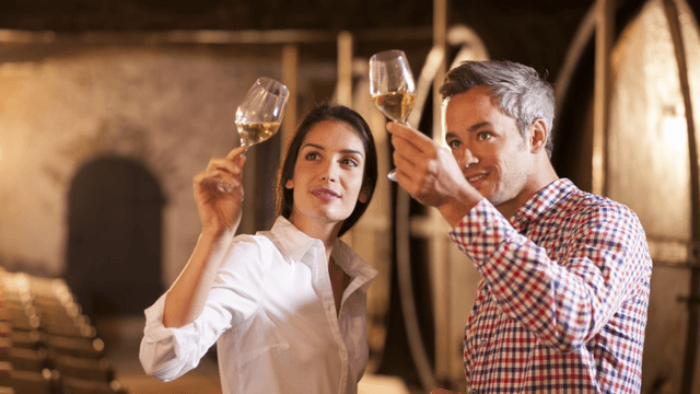 Dégustation oenologique